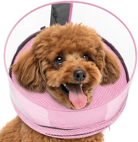 Inflatable Dog Cone with Clear Shield for Added Coverage