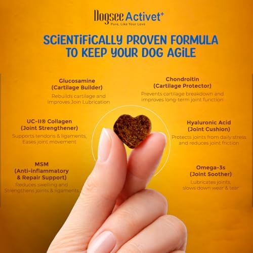 Dogsee Activet+ Hip & Joint Supplement Dog with Omega-3, Glucosamine, Chondroitin, MSM & Collagen for Dogs, Dasuquin, Joint Pain Relief - 90 Count - Made in USA