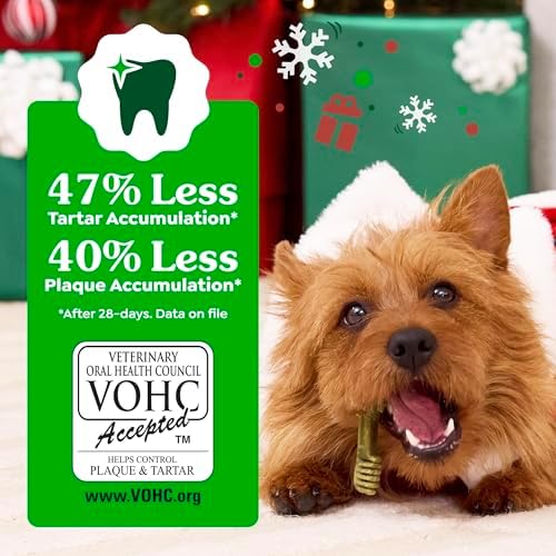 Greenies Regular Natural Dental Dog Treats, Gingerbread Flavor, 6 Count