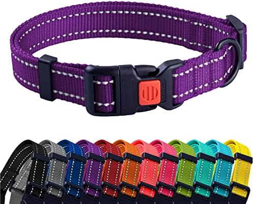 Reflective Dog Collar, Quick-Release Buckle (Purple, 10-13 Inch)
