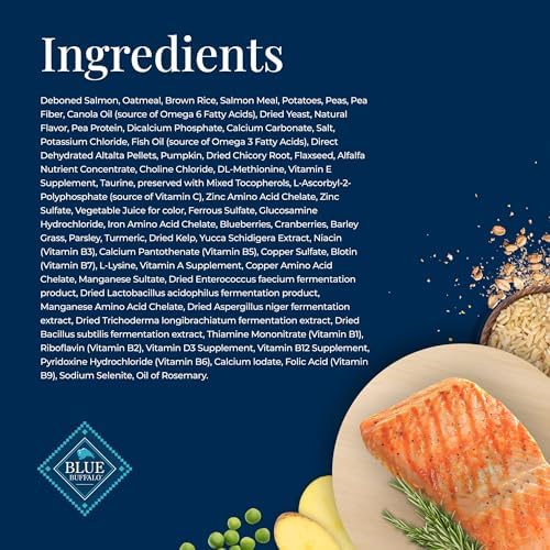 Blue Buffalo Basics Salmon Adult Skin & Stomach Care Dry Dog Food, 24 lb