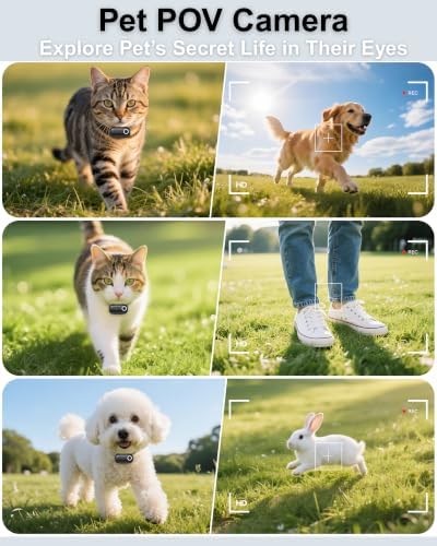 Cat Camera Collar with APP, 1080P HD Pet POV Video Recording