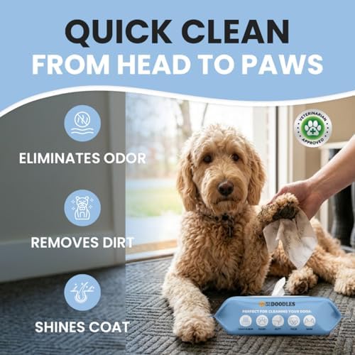 Dog Wipes, Deodorizing & Cleaning, Unscented, Made in USA, 100 Count