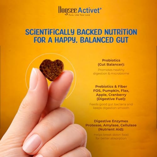 Dogsee Activet+ Dog Gut Health Supplement Chews, with Probiotics, Prebiotics, Digestive Enzymes & Fiber, Supports Digestion, Prevents Diarrhea, Loose Stool and Itchy Skin, Chicken Flavor – 90 Chews