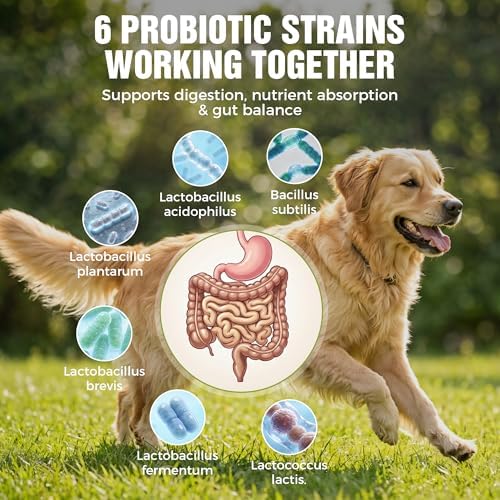Probiotics for Dogs, Soft Chews for Gut & Digestive Health