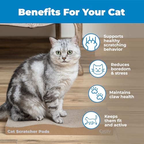 Best Pet Supplies Catify Cat Scratcher Pads - Wave, 2-Pack
