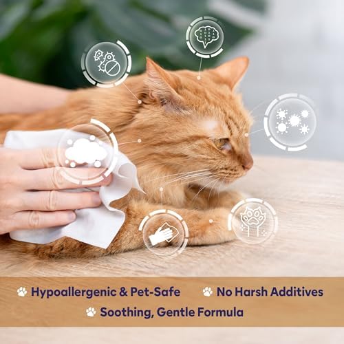 Papilion Pet Wipes for Dogs & Cats, Gentle Grooming & Cleaning Wipes, Safe for Paws, Coat & Face for Daily Use, Paraben-Free, Extra Large All-Purpose Wipes, Flip-Top Pack, 150 Count