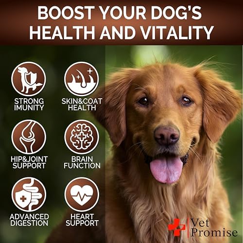 (2 Pack) Turkey Tail Mushroom for Dogs - 340 Chews - Mushroom for Dogs