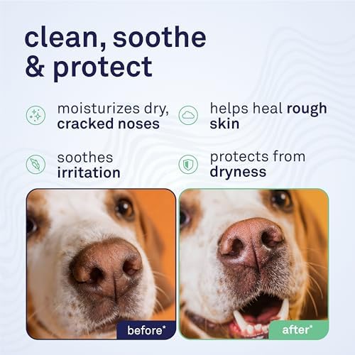 Petpost | Snout Balm for Dogs - Nourishing Snout Soother Balm Heals Dry Dog Noses with Moisturizing Ingredients - Organic Coconut Oil, Jojoba Oil, and Shea Butter 0.64 oz.