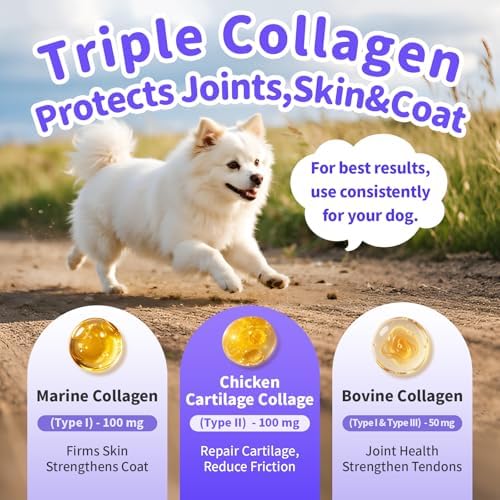 12-in-1 Collagen for Dogs - Triple Liquid Collagen for Dogs