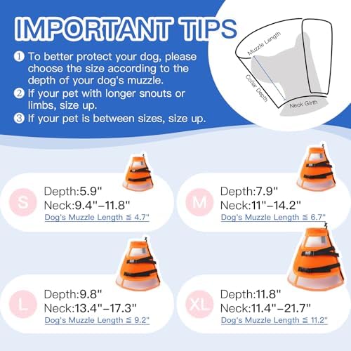 Dog Cone Alternative for Small Dogs to Stop Licking | Adjustable Recovery E-Collar for After Surgery & Wounds, Lightweight & Comfortable Elizabethan Protective Cone (Orang, M)