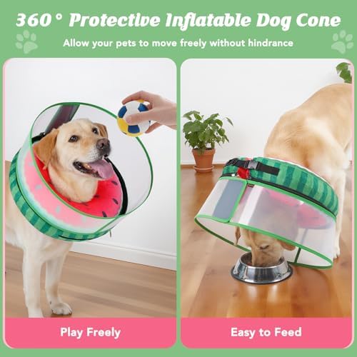 Inflatable Dog Cone with Anti-Licking Clear Shield, Fits Small Dogs