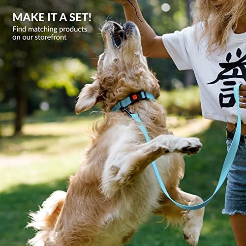 Reflective Dog Collar, Quick-Release Buckle (Light Blue, 10-13 Inch)