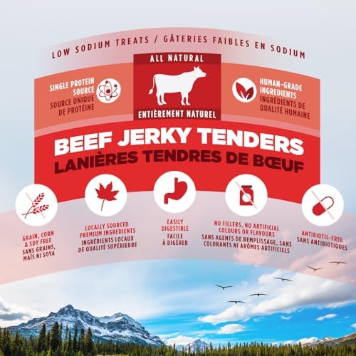ZEAL Natural Beef Jerky Tenders for Dogs, 100% Real Canadian Beef, High Protein 24%, Soft Training Treats, Air-Dried, Grain Free, Made in Canada, 10oz