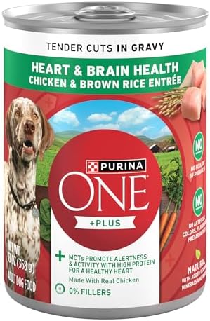 Purina ONE Tender Cuts Heart & Brain Health Wet Dog Food, 13 oz. Can
