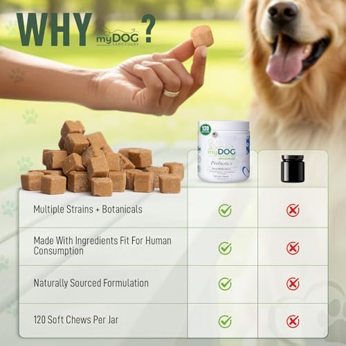 Probiotics for Dogs – 120 Soft Chews, Bacon Flavor | Digestive Enzymes, Gut Health & Immune Support with Pumpkin Seed & Ginger | for All Breeds