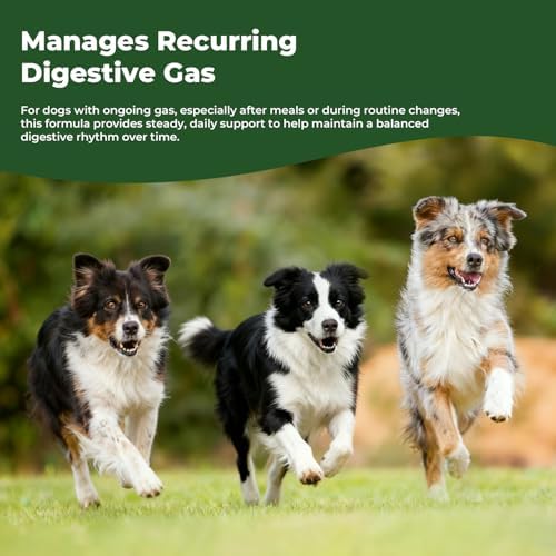 Gas Relief for Dogs Liquid Drops, Digestive Comfort & Gut Balance Support