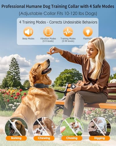 Dog Shock Collar with Remote Control, Waterproof Dog Training Collar, Blk