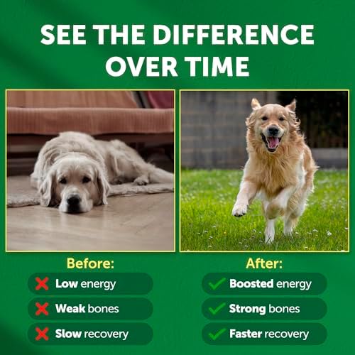 Nature's Protection Bones & Energy Supplement Powder for Adult Dogs, 9oz
