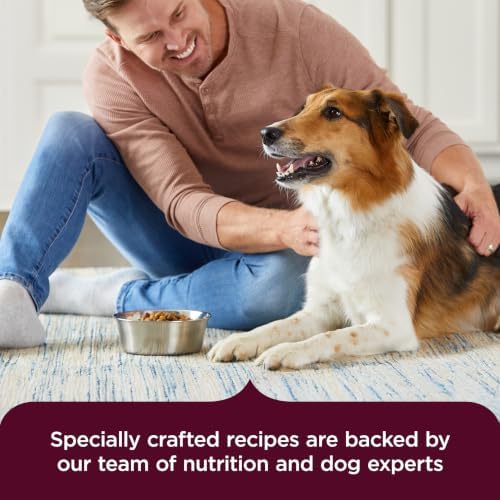 Nutrish High Protein Dry Dog Food, 23 lb. Bag (Rachael Ray)