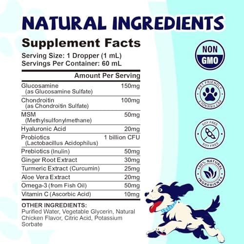 CFILIHTC Joint Drops for Dogs with Glucosamine, Chondroitin, MSM & Omega-3 – Pets Liquid Joint Supplement for Dogs & Cats – Hip, Joint, Mobility, Skin & Coat Support – Chicken Flavor 2 Fl Oz