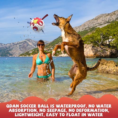 QDAN Dog Ball, Dog Soccer Ball Toy with Straps, Outside Dog Toys,6 Inch