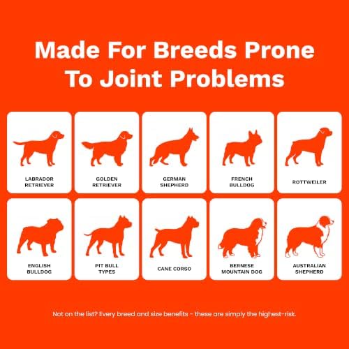The Paw Parent Dog Hip and Joint Supplement, Green Lipped Mussel Powder