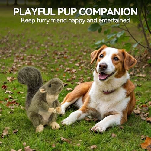 ALL FOR PAWS Interactive Dog Squirrel Plush Squeaky Toy - Perfect Puppy Enrichment Toy, Large