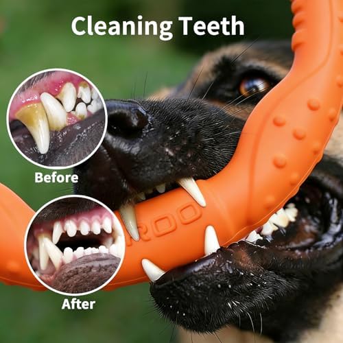 LaRoo Dog Chew Ring Toy for Small Dogs, Durable EVA Floating Puppy Teething Chew Toy, Interactive Tug of War Fetch Toy for Dental Cleaning & Outdoor Play (Orange)