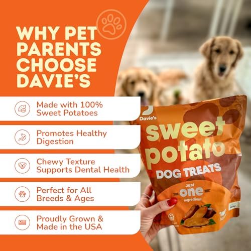 Davie's Sweet Potato Dog Treats - Healthy, Natural Dog Chews, Low Fat, 1 lb. Bag (Pack of 2)
