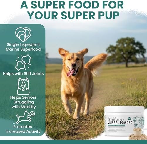 Green Lipped Mussel for Dogs, 6 oz - Green Lipped Mussel Powder for Dogs