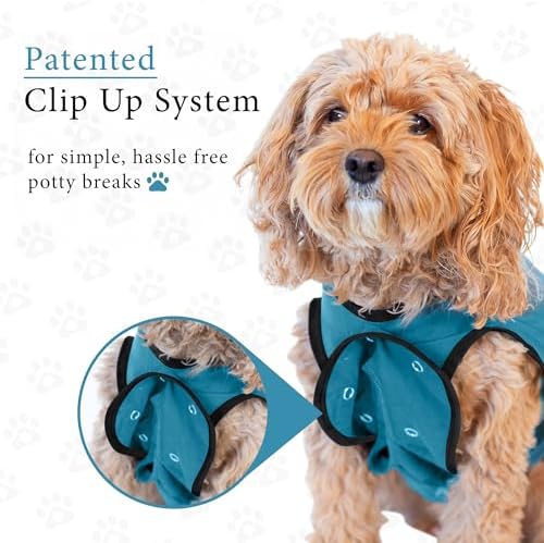 BellyGuard Dog Surgery Recovery Suit, Male Female After Spay Neuter Onesie