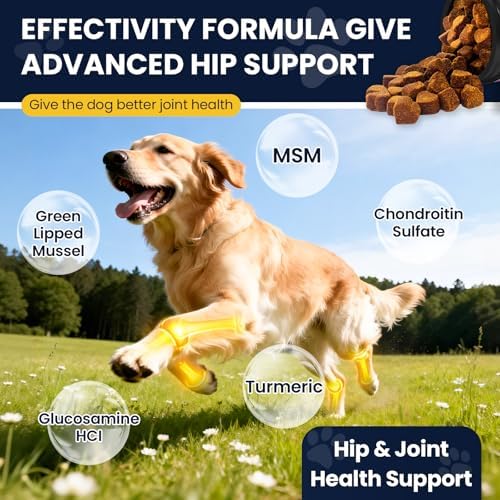 Hip and Joint Supplement for Dogs 200ct with Probiotics Glucosamine for Dog