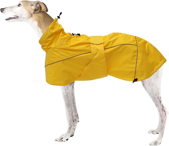 Greyhound Lurcher Raincoat, Whippet Rain Gear with Reflective Bar, Rain/Waterproof, Adjustable Bands and Drawstring in Autumn and Winter - Yellow - S