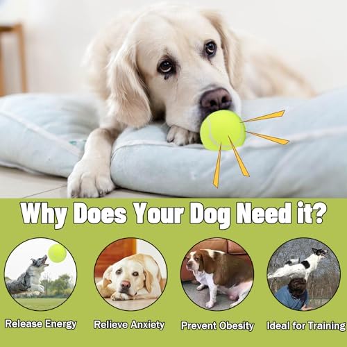 Magicorange Dog Tennis Balls, 90 Pack 2.5 inch Squeaky Tennis Balls