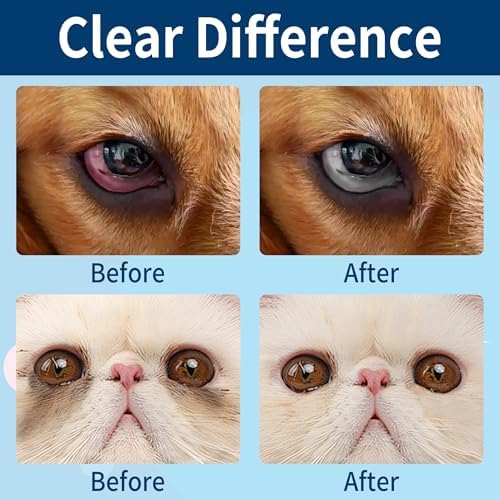 Dog Eye Drops, Contain Blueberry Extract, Removes Tear Stains and Secretions, Supports and Prevents Eye Problems, Suitable for Cats & Dogs, 1 Bottle (2.03 fl. oz in Total)