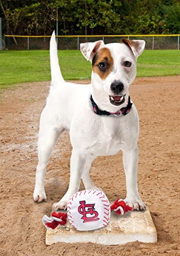 MLB SAINT LOUIS CARDINALS Baseball Rope Toy for DOGS & CATS. Tough nylon, Sporty Baseball Design, Heavy-duty ropes with Inner SQUEAKER
