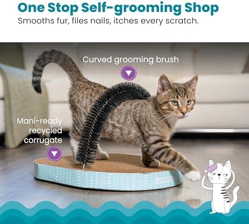 Catstages Scratch & Groom Cat Scratcher with Removable Curved Brush for Self-Grooming Station, Orange (Pack of 6)