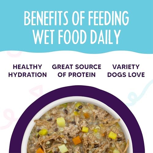 Weruva Meals 'n More Natural Wet Dog Food, Steak Frites Dinner Plus Skin & Coat Health, 3.5oz Cup (Pack of 12)