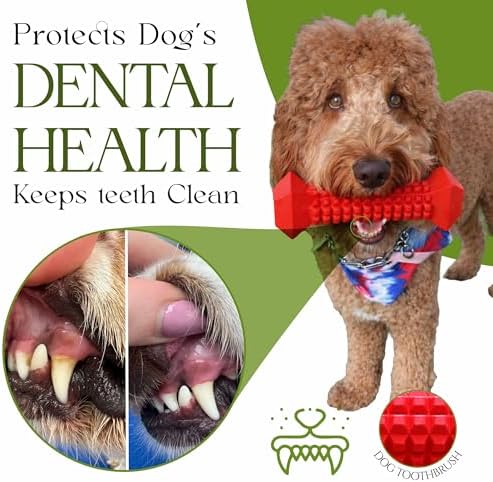 Dog Chew Toys for Aggressive Chewers – Tough Chew Toys for Dogs with Treat Dispenser – Indestructible Rubber Dog Toy for Teeth Cleaning – Chew Bones for Large Dogs
