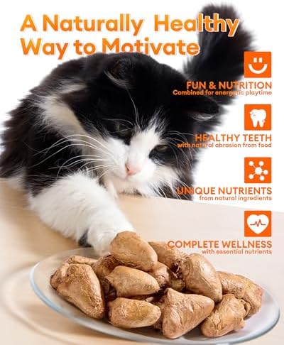 Freeze-Dried Chicken Hearts Treats for Cats & Dogs, 17.63 oz