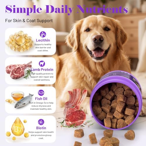 Dog Allergy Chews for Dogs - Skin & Coat, Digestive Health & Immune Support, Lamb Flavor, 2 Bottles, 240 Soft Chews