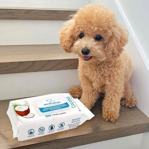Best Pet Supplies Cleaning Dog Wipes - Moisturizing Coconut 100 Count