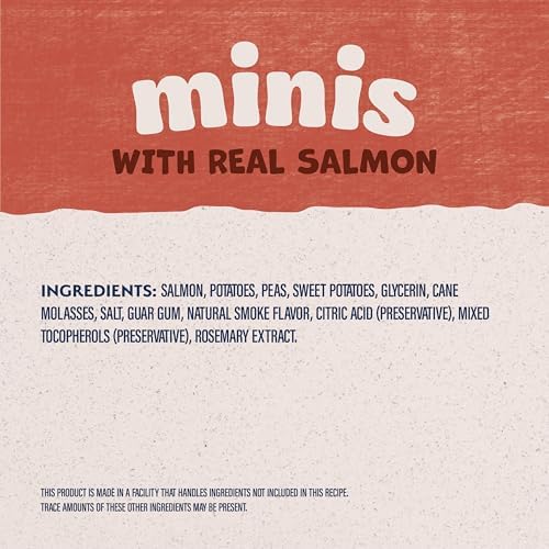 Natural Balance Limited Ingredient Mini-Rewards Salmon Grain-Free Dog Training Treats for Dogs | 5.3 Ounce Canister (Pack of 2)