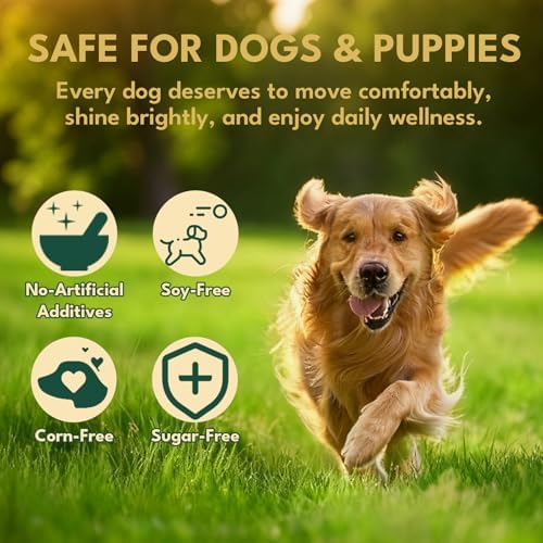YOTANGO Liquid Collagen for Dogs, Dog Collagen Supplement, Bacon, 60ml