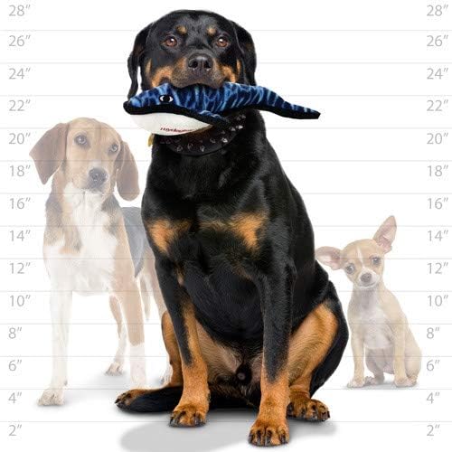 TUFFY® : 2 Pack Whale Dog Toy: Ultra Durable Plush Toy with Multiple Layers & Reinforced Seams, Washable and Floats, Original Construction