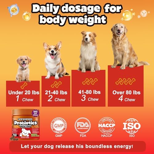 Probiotics for Dogs - Improve Gut Health, Digestive, Immunity, Yeast Balance, Solid Stool - with Prebiotics - Reduce Diarrhea, Gas, Bad Breath, Constipation, Allergy - Ideal for Senior Dogs (5+ Years)