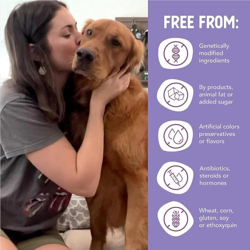 Health Extension Chunky Chicken Stew Grain-Free Wet Dog Food, 12.5 oz – Protein-Rich Recipe, Hydration Support, Ideal for All Breeds (Case of 12 Cans)