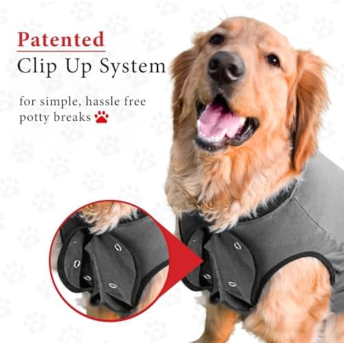 BellyGuard Dog Surgery Recovery Suit, Male Female After Spay Neuter Onesie