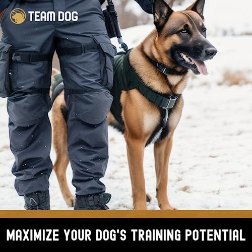 Team Dog Freeze Dried Salmon Dog Treats for Training | Healthy Gluten Free, Grain Free Dog Treats | No Added Fillers, Flavoring or by-Products | for All Breeds & Sizes | 5 Oz Salmon Bites